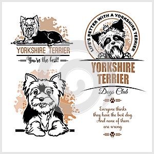 Yorkshire Terrier - vector set for t-shirt, logo and template badges on white