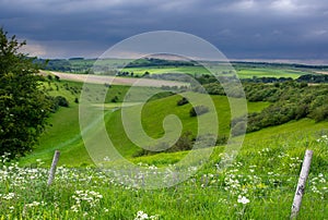 Yorkshire Wolds View Green Feilds