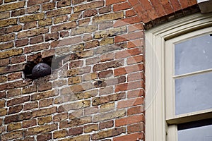 Yorktown VA, USA. October 5, 2019. Cannonball from war of indepedance lodged in brick wall of Nelson House.