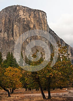 Yosemite autumn