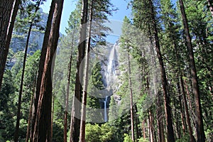 Yosemite Falls