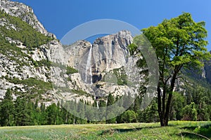 Yosemite Falls