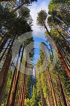 Yosemite Falls