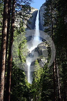 Yosemite Falls and Forest
