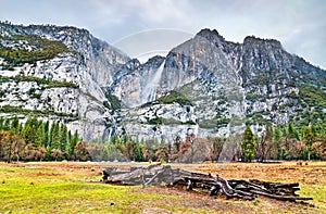 Yosemite Falls, the highest waterfall in Yosemite National Park, California