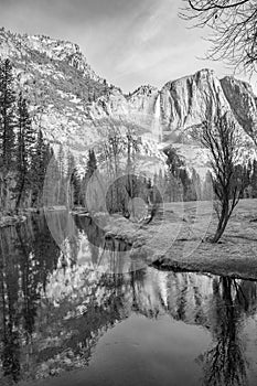Yosemite Falls Reflection with Winter Trees and Pond