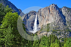 Yosemite Falls in the Spring CA 00102