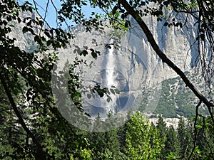 Yosemite Falls through the Trees, Yosemite National Park, California