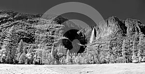 Yosemite falls from valley in YOSEMITE NATIONAL PARK, California.