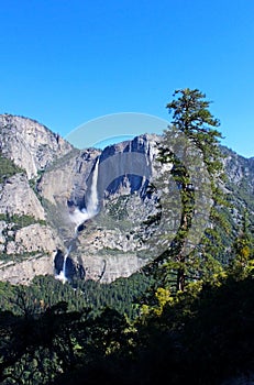 Yosemite Falls, Yosemite National Park