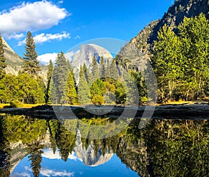 Yosemite mirror view for the majestic rock hidden by trees