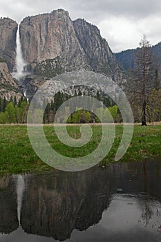 Yosemite National Park