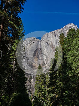 Yosemite national park, El Capitan cliffs and granite rocky landscapes, giant sequoia and muir forest grove