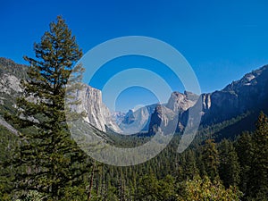 Yosemite national park, El Capitan cliffs and granite rocky landscapes, giant sequoia and muir forest grove