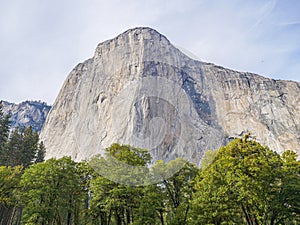 Yosemite national park, El Capitan cliffs and granite rocky landscapes, giant sequoia and muir forest grove