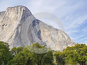 Yosemite national park, El Capitan cliffs and granite rocky landscapes, giant sequoia and muir forest grove