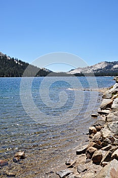 Yosemite National Park lake