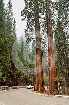 Yosemite National Park - Landmarks in California.