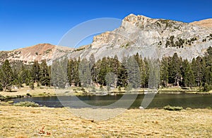 Yosemite National Park Sierra Nevada California Landscape and Lake in Summer