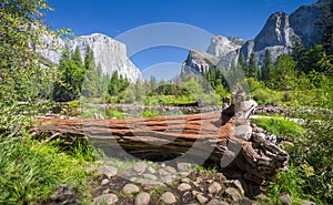 Yosemite National Park in summer, California, USA