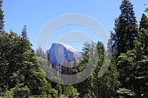 Yosemite National Park in the Summer Under Blue Skies