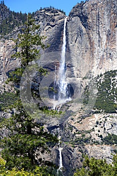 Yosemite National Park in the Summer Under Blue Skies