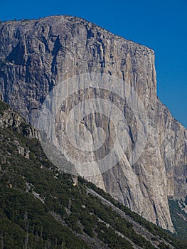 Yosemite national park, Tunnel view, El Capitan cliffs and granite rocky landscapes, giant sequoia and muir forest grove