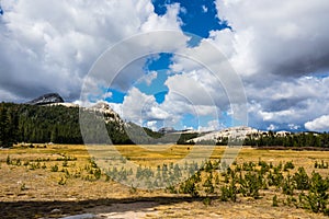 Yosemite  National Park in the Tuolumne  Meadows area