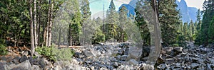 Yosemite national park, Waterfalls. El Capitan cliffs and granite rocky landscapes, giant sequoia and muir forest grove