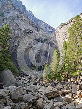 Yosemite national park, Waterfalls, El Capitan cliffs and granite rocky landscapes, giant sequoia and muir forest grove