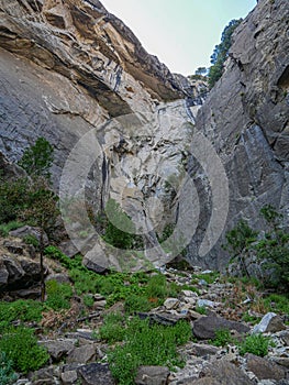 Yosemite national park, Waterfalls, El Capitan cliffs and granite rocky landscapes, giant sequoia and muir forest grove