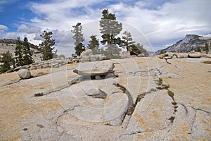 Yosemite NP, Olmsted Point