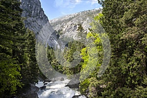 Yosemite river in Summer 2023, Yosemite National Park, California