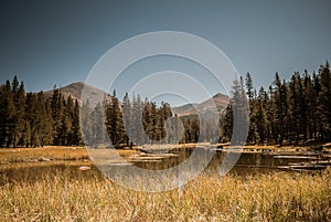 Yosemite - Snowmelt Pond In Tuolomne Meadows