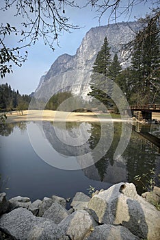 Yosemite Squirrel photo