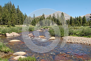 Yosemite tuolumne meadows