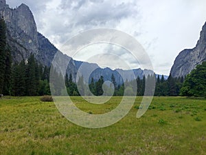 Yosemite valley grassland