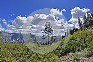 The Yosemite Valley Wider View photo