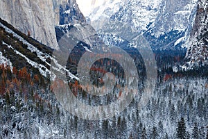 Yosemite Winter