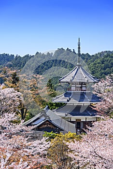 Yoshinoyama, Japan at Kinpusenji Pagoda