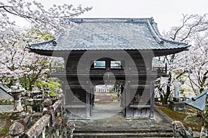 Yoshiura wooden shrine with white sakura blossom, Kashima