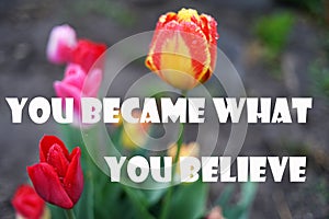You became what you believe  wise phrases