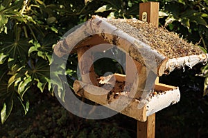You can help birds in winter with a bird feeder