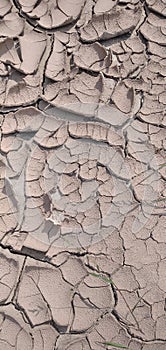 You can see the surface of the soil peeling and breaking due to the scorching heat in a field.