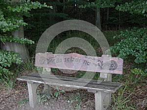 Wooden bench in the woods photo