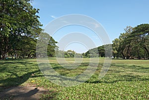 Vast field of Wachirabenchathat Park NO.2 photo