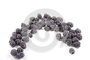 You can`t stop looking at the sweet fresh blackberry`s