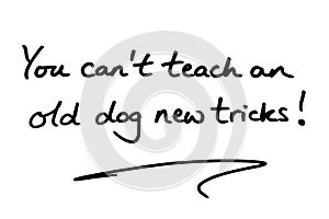 You cant teach an old dog new tricks