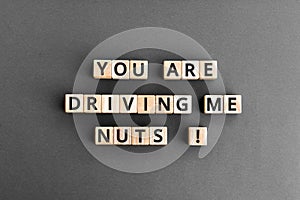 You are driving me nuts - phrase from wooden blocks with letters