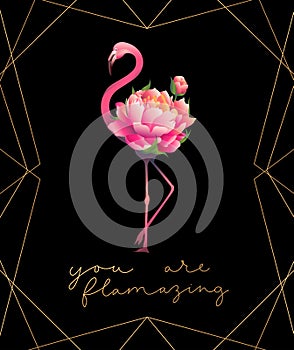 You are flamazing print with cute pink flamingo